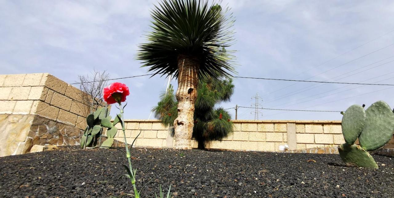 Casa Del Sur, En El Sur De Tenerife Villa Granadilla De Abona Exteriör bild