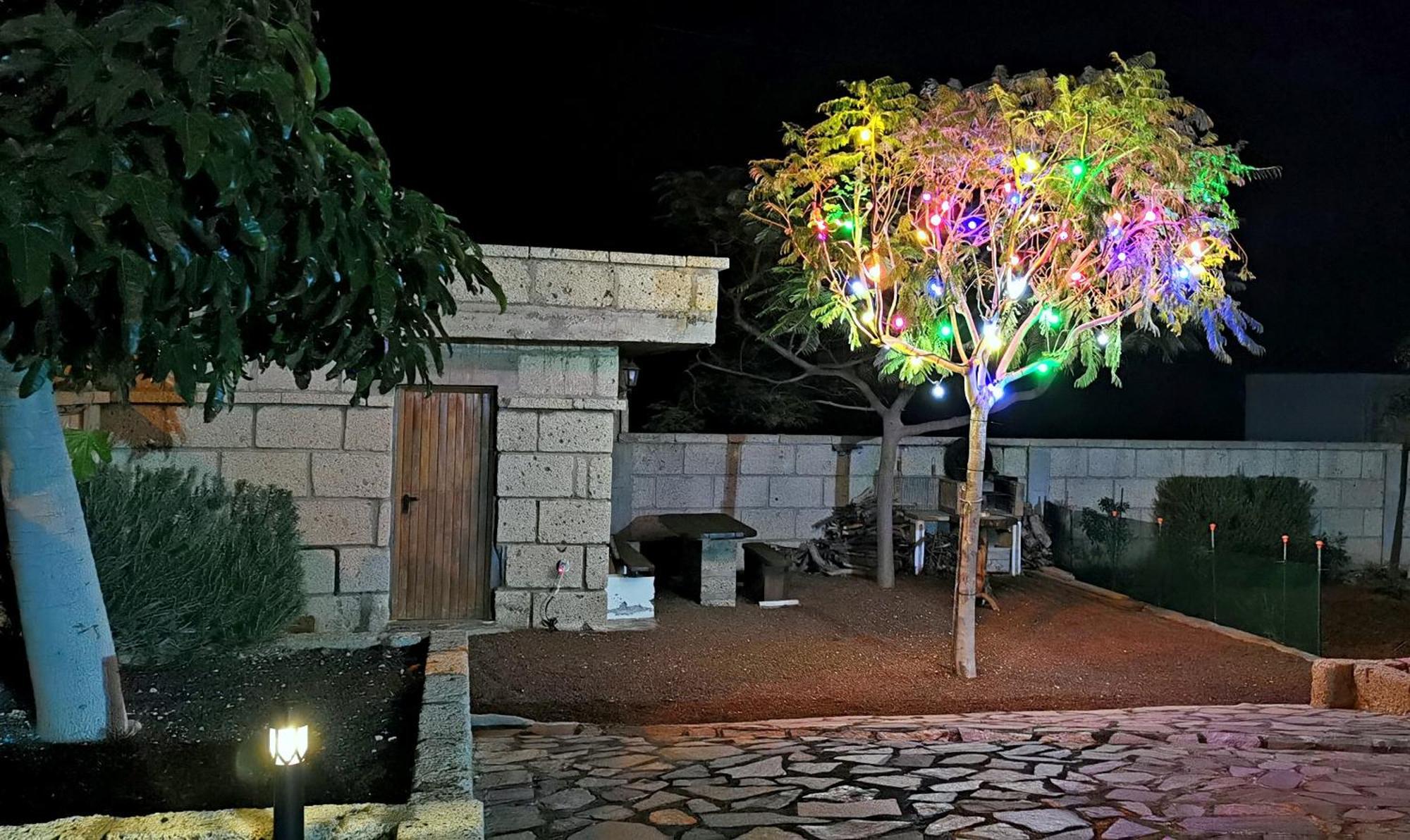 Casa Del Sur, En El Sur De Tenerife Villa Granadilla De Abona Exteriör bild